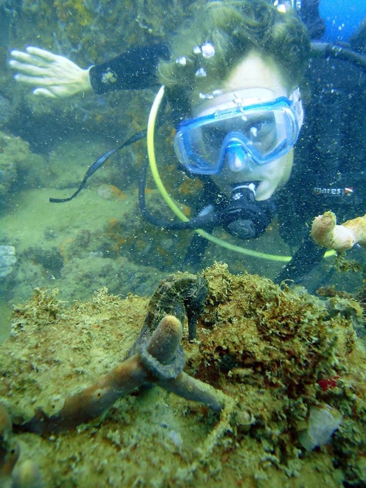 Corals create structures to promote reef recovery • Mares - Scuba Diving  Blog