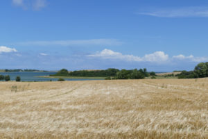 Samsø fields