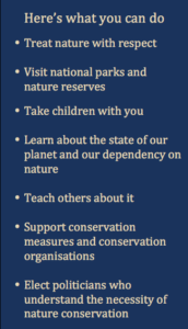 What You Can Do to Protect Nature