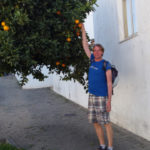 Ivar picking fresh oranges