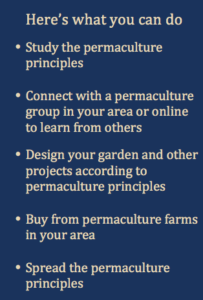 What you can do - Permaculture