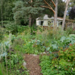 Communal garden in Ecovillage Findhorn