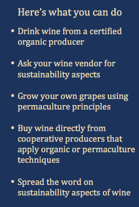 Sustainable Wine - here's what you can do
