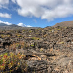 El Hierro's volcanic soil