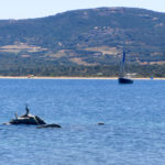 Luci at anchor in Sardinia