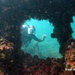 Floris the wreck diver - Picture by Bruno Menezes