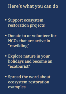 Here's what you can do - Rewilding