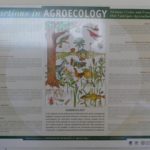 Agroecology explained