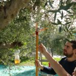 Markos demonstrates tree-friendly cultivation methods
