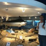 Oceanographic museum