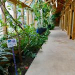 Edible plants hall