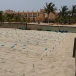 The Hatchery - where sea turtle eggs are kept safe - is neighbouring a resort