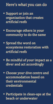 Here's what you can do - Artificial Reefs