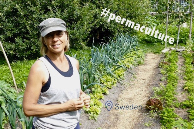 Permaculture on a Swedish Island (SWE)