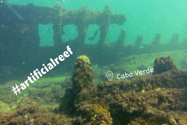 Artificial Reefs (CPV)