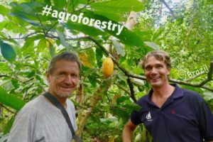Sustainable Solution 35 - Agroforestry