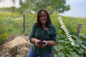 Sustainable Solution 37 - Alda's Organic Neighbourhood Farm
