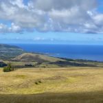 View on Rapa Nui still reveals the extent of deforestation