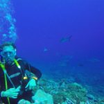 Floris diving with grey reef sharks