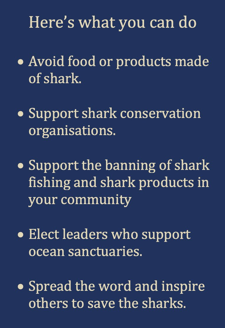 What You Can Do - Shark Protection