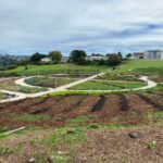Orakei's large community garden in Auckland is taking shape