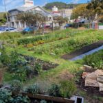 The Kaicycle community garden in Wellington