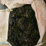 Dried seaweed is the starting point of AgriSea's production process
