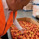Massive amounts of imperfect apples are being rescued
