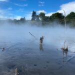 Warm water pool in a Rotorua park