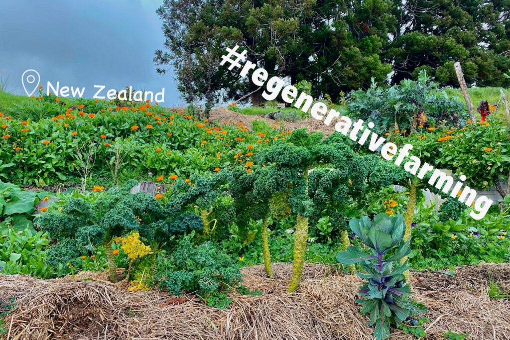 Regenerative Farming (NZL)