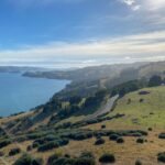 The Otago peninsula near Dunedin