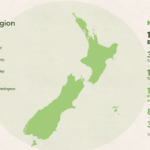 Enviroschools in New Zealand - source Enviroschools