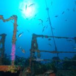 Rainbow Warrior as artificial reef - Picture PADI