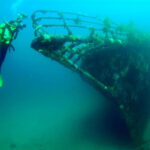 Rainbow Warrior is also a popular dive spot - Picture Marine Life Society of South Australia