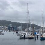 Chaffers Marina in Wellington