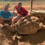 Ancestor of 3000 tortoises now living on Rodrigues