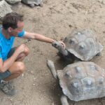 Tortoises competing for Floris' attention