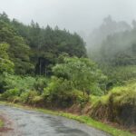 St Helena is partially wet and green