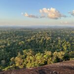 Suriname's unspoilt rainforest as seen from the Fredberg