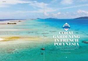 Yachting Monthly - Sailors for Sustainability Coral Gardening in FP