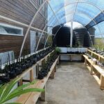 SusGen's greenhouse