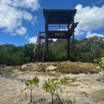 The bird tower with young mangroves