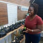 Kisha explains how young mangroves are grown in the greenhouse